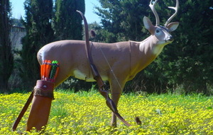 Journées portes ouvertes le 12 septembre 2015 