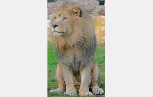 Concours Nature du 23 Octobre 2016