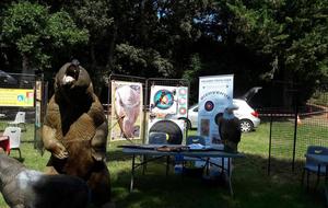 Rentrée des associations