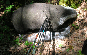 Résultat manche 3D de l'Arc13